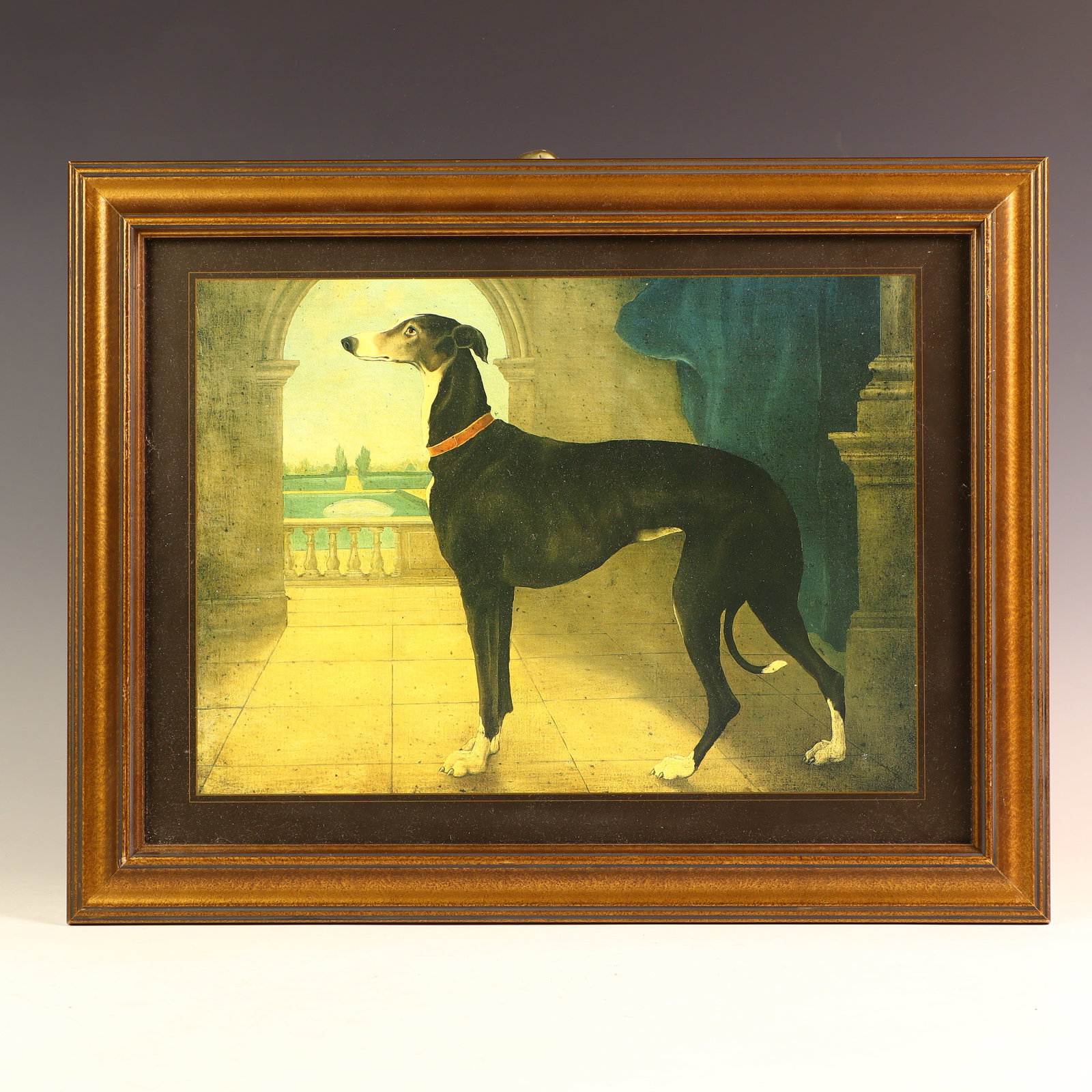Framed Canine print by Dunton titled Whippet: Framed Canine print by Dunton titled Whippet 14X18 inches