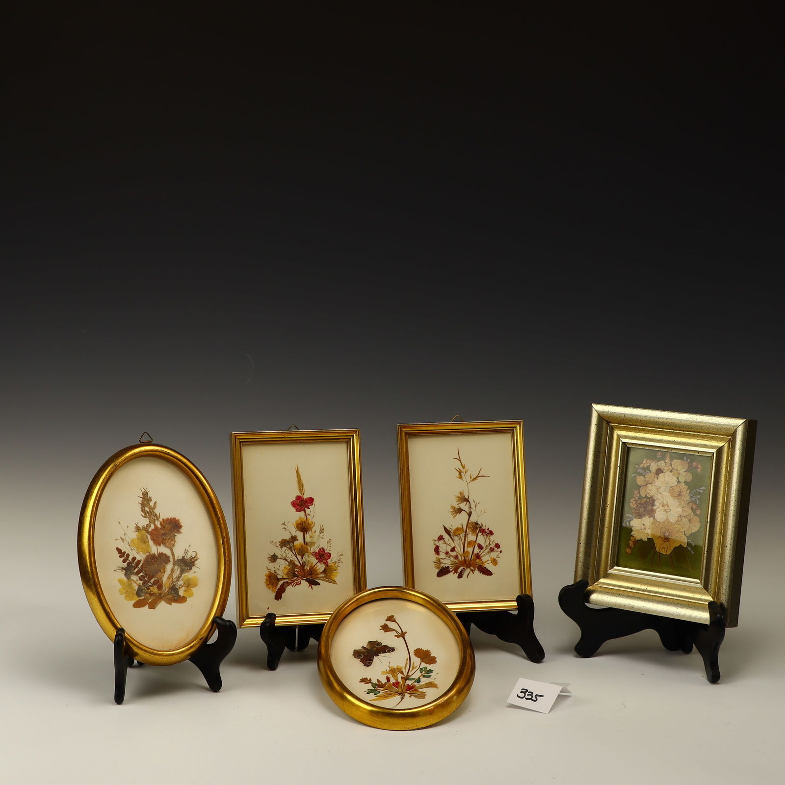 Framed dried and pressed botanical art (1 of 1)