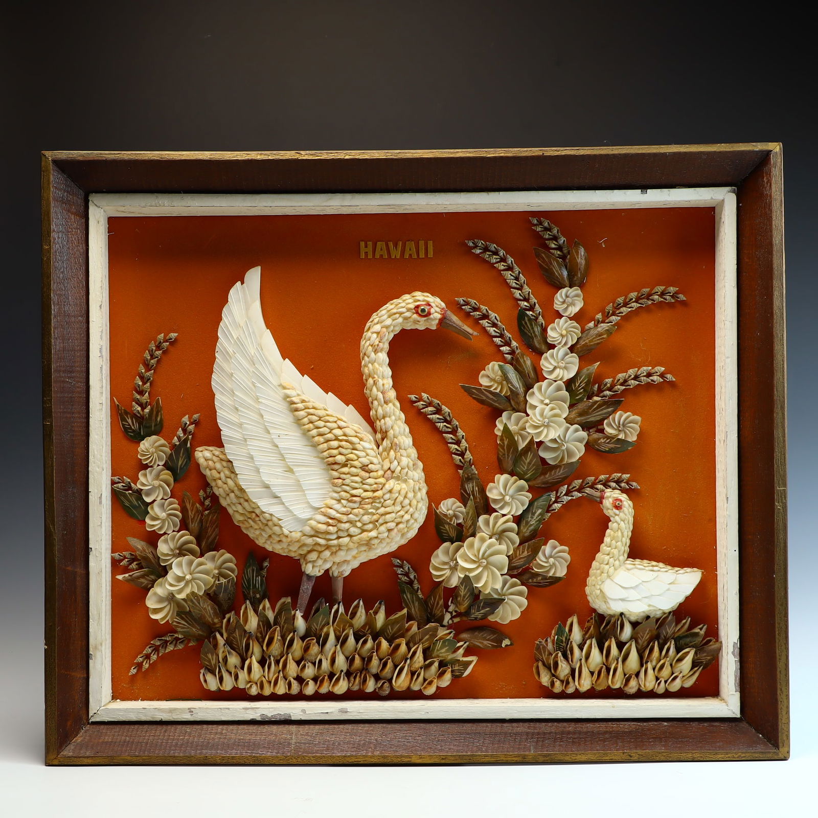 Shell Art Sculpture: Shell Art Sculpture 24 x 20 x 3 inches shadow box framed