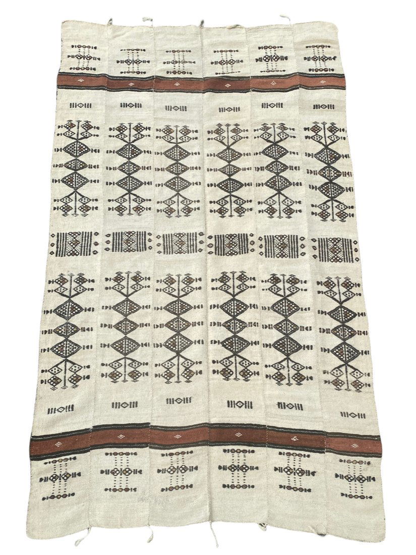 Fulani Kilim West Africa Circa 1900 (1 of 7)