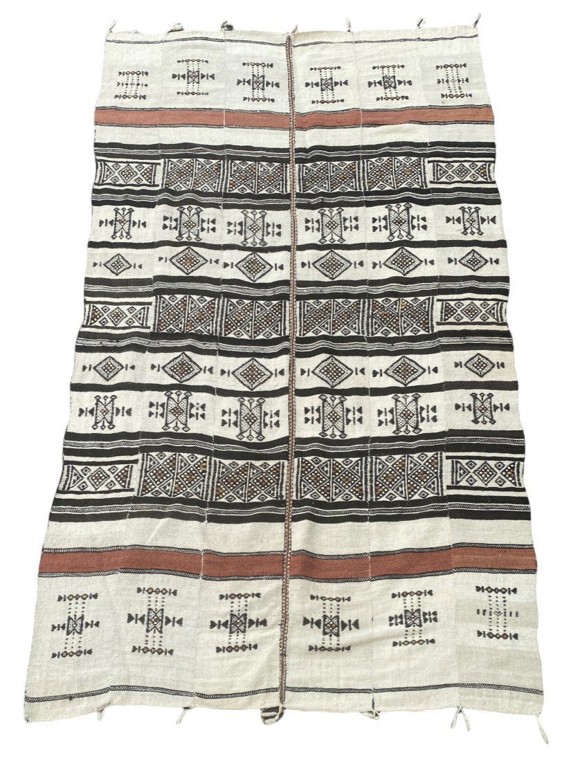 Fulani Kilim West Africa Circa 1900 (1 of 11)