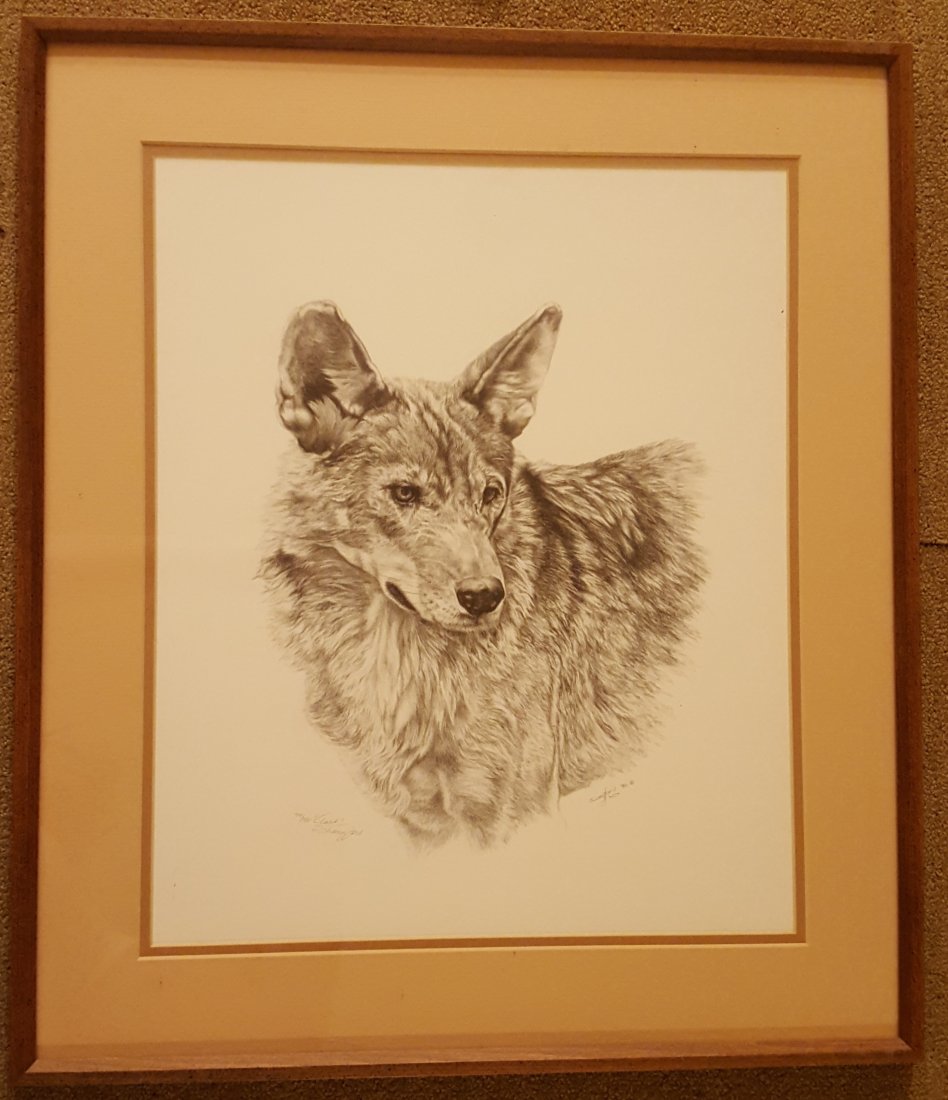 LANGFORD Signed and Framed Wolf Print (1 of 3)