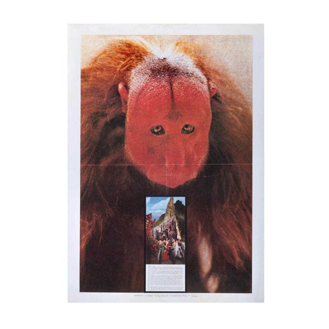 Superstudio (1 of 1)