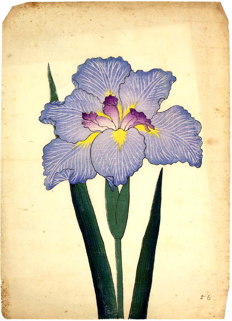 FIVE WATERCOLOR DRAWINGS OF FLOWERS (1 of 5)