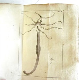 1744 NATURAL HISTORY OF THE POLYPES ILLUSTRATED W/ 22 ENGRAVED PLATES ANTIQUE