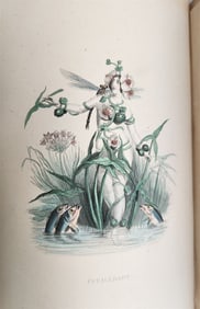 1854 FLOWER SPIRITS ANTIQUE ILLUSTRATED DIE PILGERFAHRT DER BLUMENGEISTER POETRY
