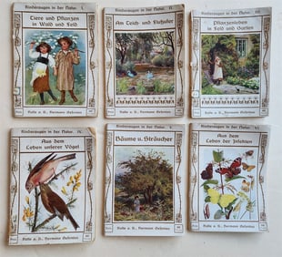 1900S NATURAL SCIENCE 6 VOLUMES ILLUSTRATED ANTIQUE KINDERAUGEN IN DER NATUR