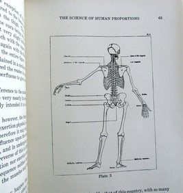 1933 SCIENCE OF HUMAN PROPORTIONS BY HARRY SIMONS ILLUSTRATED VINTAGE