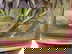 item-205712295=5