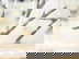item-205712295=6