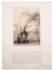 A C. 1849 LARGE EGYPTOLOGY ENGRAVING, THE HOLY TREE OF METEREAH, DAVID ROBERTS (1796-1964), THE HOLY