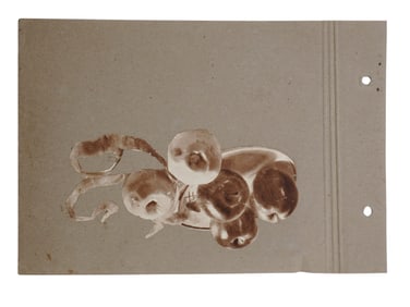 AN AVANT-GARDE ARTISTIC COLLAGE WITH PHOTOGRAPHS, TWO SIDED, 20 C.