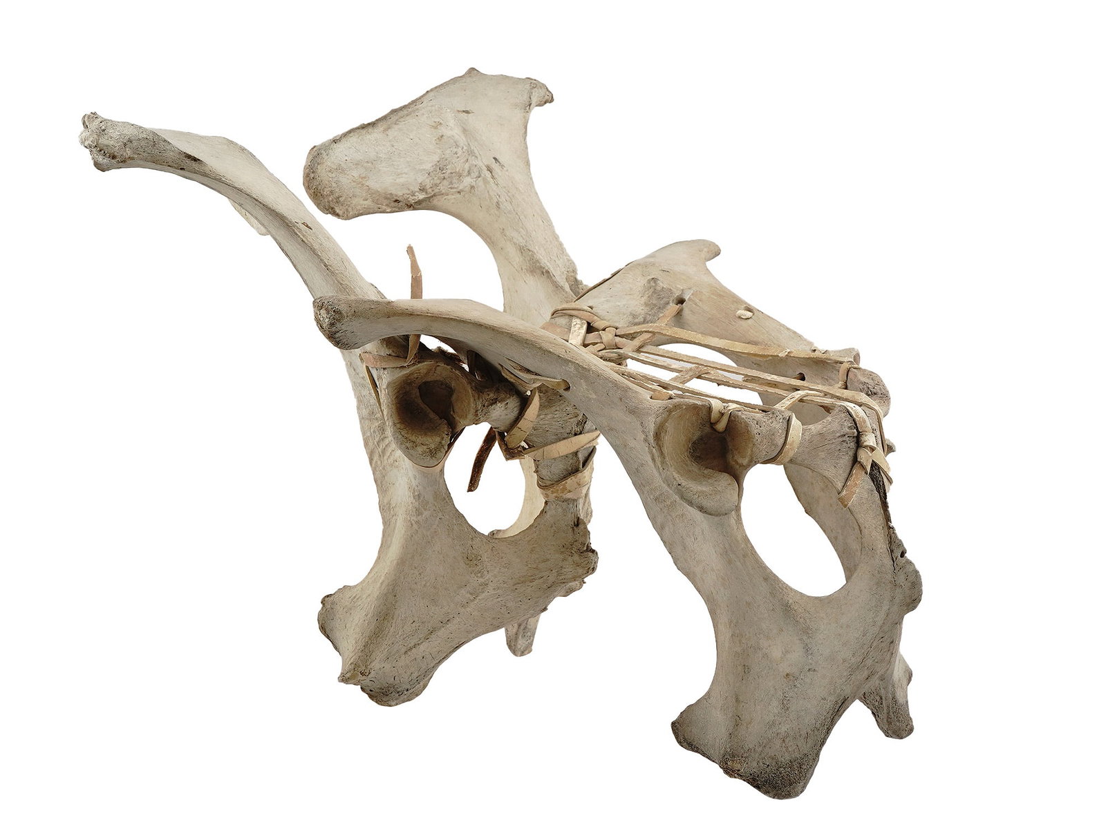 AN ARGENTINA GAUCHO COWBOY BONE CHAIR WITH LEATHER SEAT, 20TH CEN.: An interesting Argentine Gaucho chair is comprised of the pelvis bones of cows tied together with leather straps that also act as the woven seat of the chair. This type of chair was made by the iconic