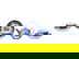 item-208605437=1