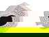 item-208605567=4