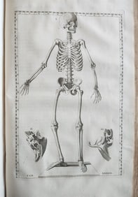1744 ILLUSTRATED ANATOMY ANTIQUE FOLIO EXPLICATIO TABULARUM ANATOMICARUM ALBINUS
