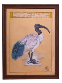 A MUGHAL OR COMPANY SCHOOL, NORTHERN INDIA, C. LATE 18TH CENTURY, STUDY OF A SACRED IBIS