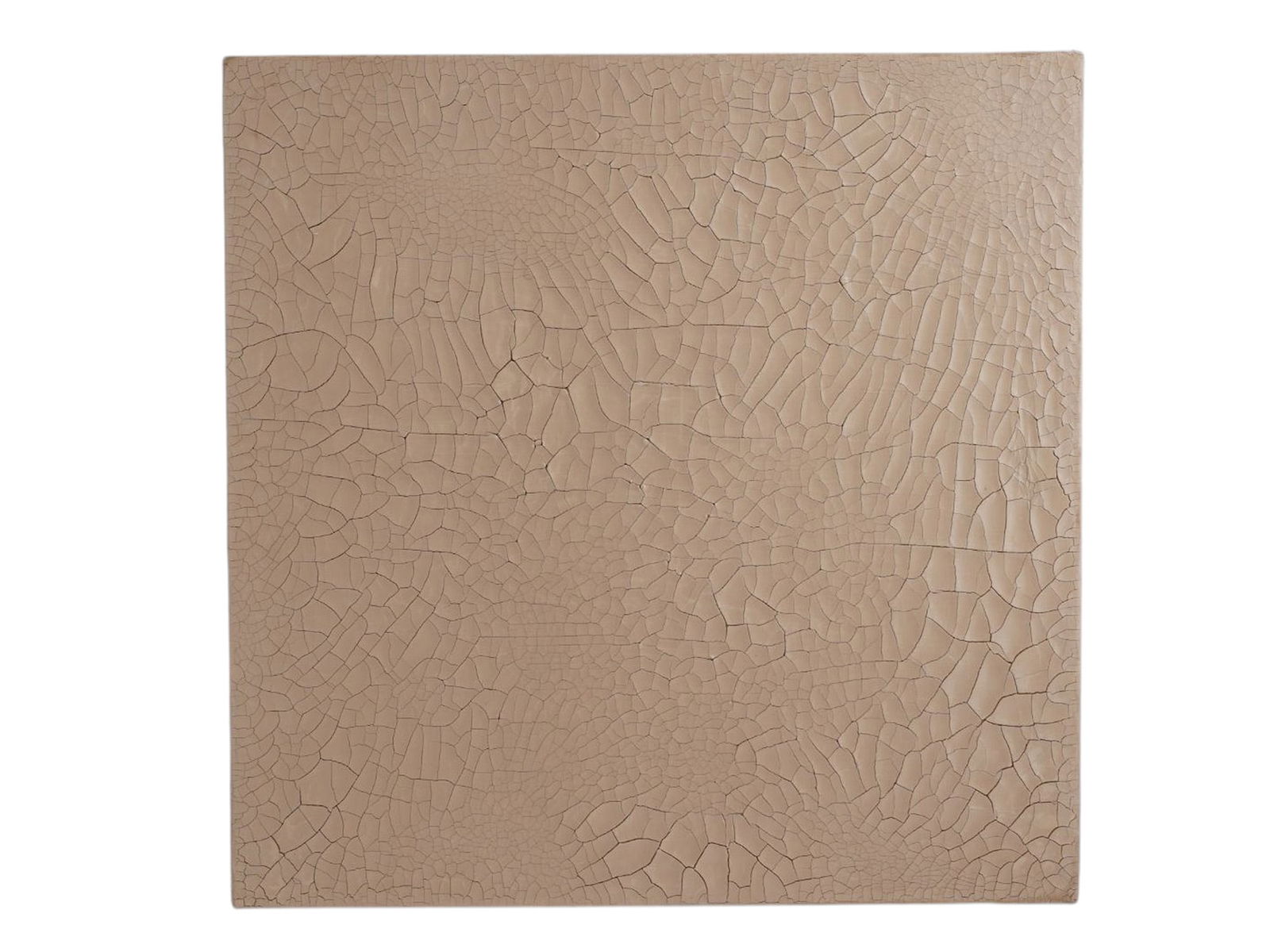 MARCOS GRIGORIAN MUD AND RESIN ON WOOD PANEL PAINTING, 1989 (1 of 5)