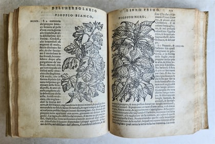1561 PHARMACOPEIA ILLUSTRATED MEDICAL PLANTS BY SANSOVINO ANTIQUE 16TH CENTURY