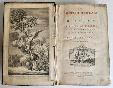 1756 BRITISH HERBAL J.HILL ANTIQUE ILLUSTRATED FOLIO HISTORY OF PLANTS & TREES