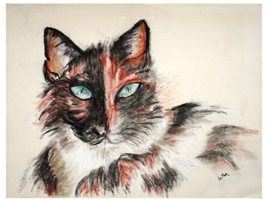 A CHINESE PASTEL ON PAPER DRAWING OF A CAT BY HU SHI XI