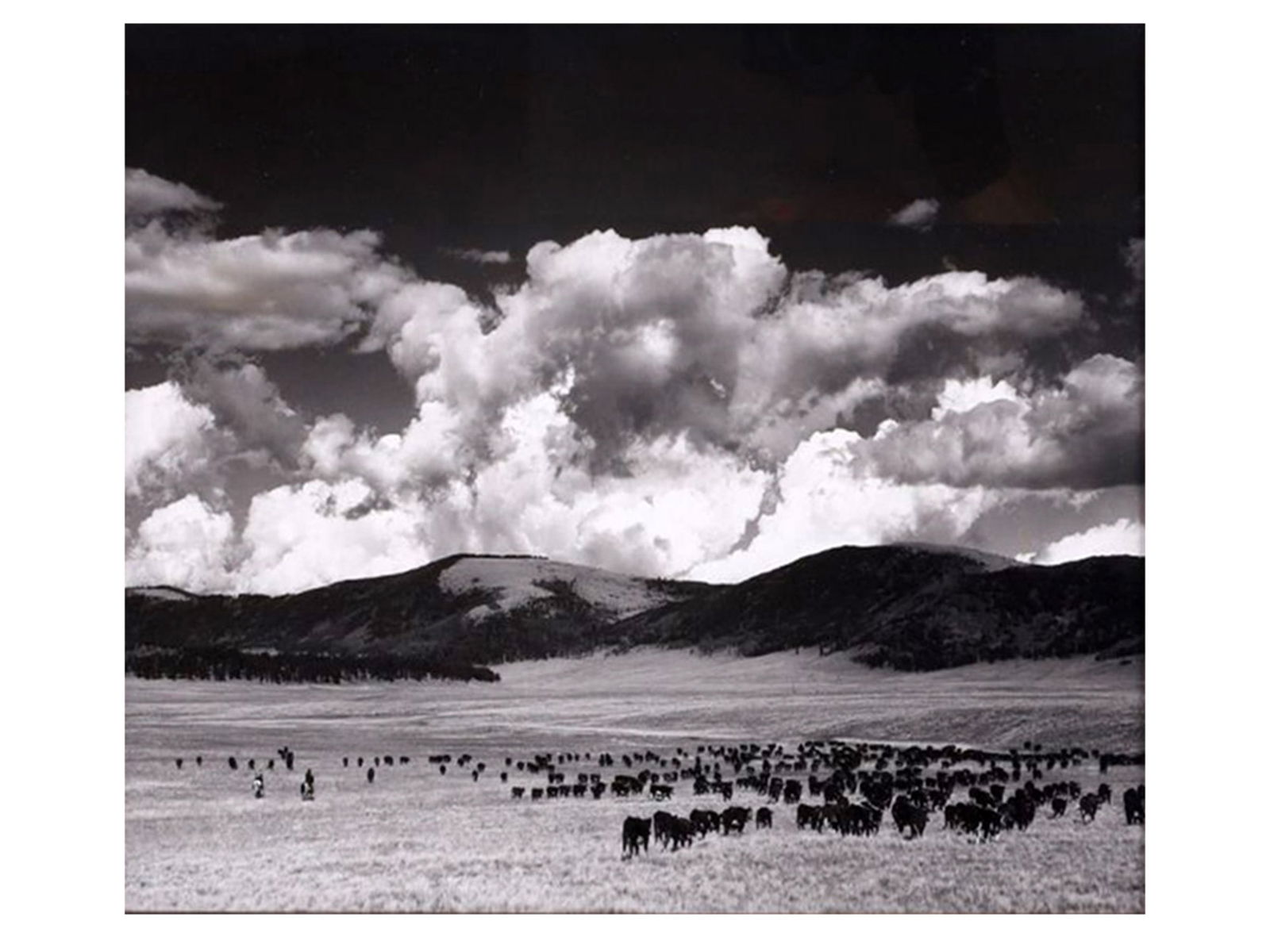 HARVEY CAPLIN (AMERICAN, 1915–1984) GELATIN SILVER PHOTOGRAPH "THE VALLE GRANDE", 20TH CENTURY: Black and white gelatin silver photograph depicting a vast Southwestern landscape identified as "The Valle Grande", showing a sweeping grassy valley with grazing cattle beneath dramatic cloud formatio