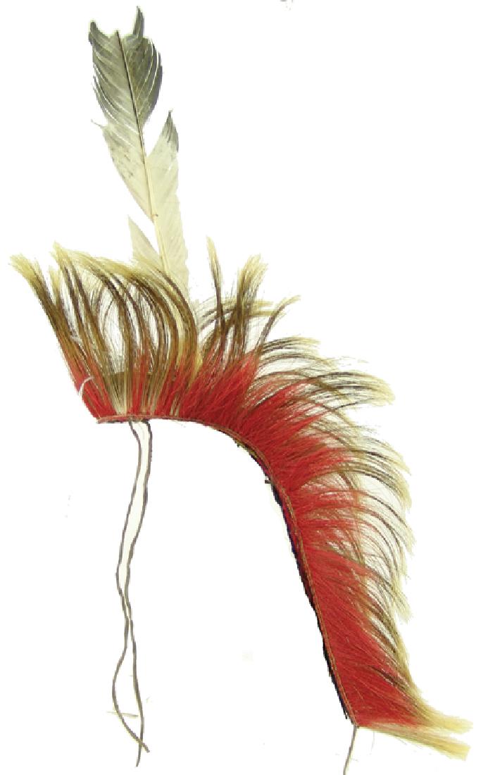 Plains Dancer's Roach (1 of 8)