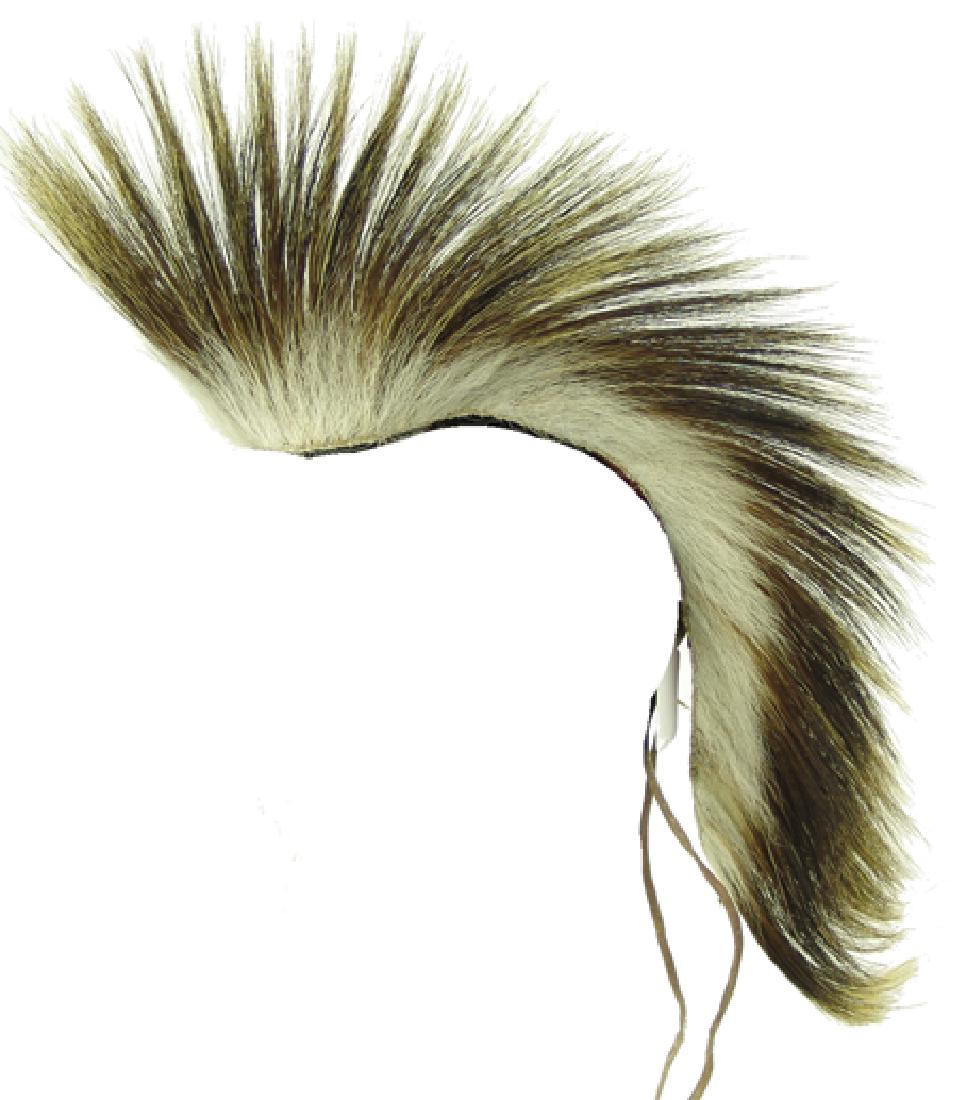 Plateau Dance Roach (1 of 8)