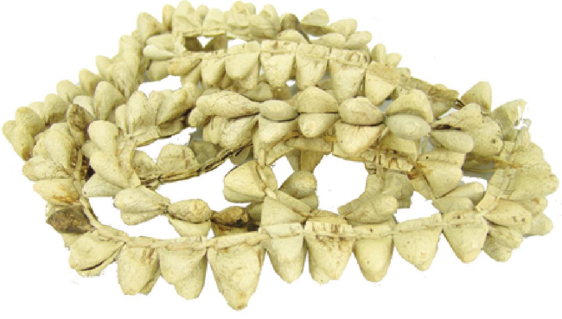 Apache Tamovan Dance Rattles (1 of 6)