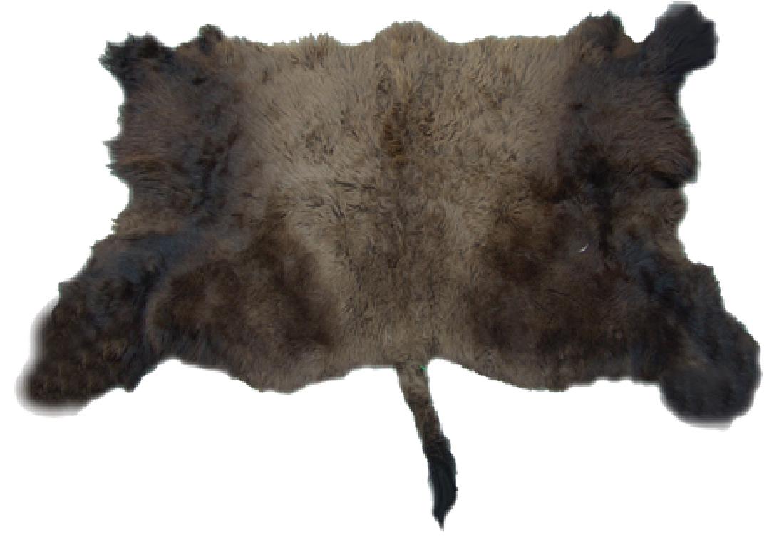 Tanned Buffalo Hide (1 of 12)