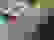 item-54722902=5
