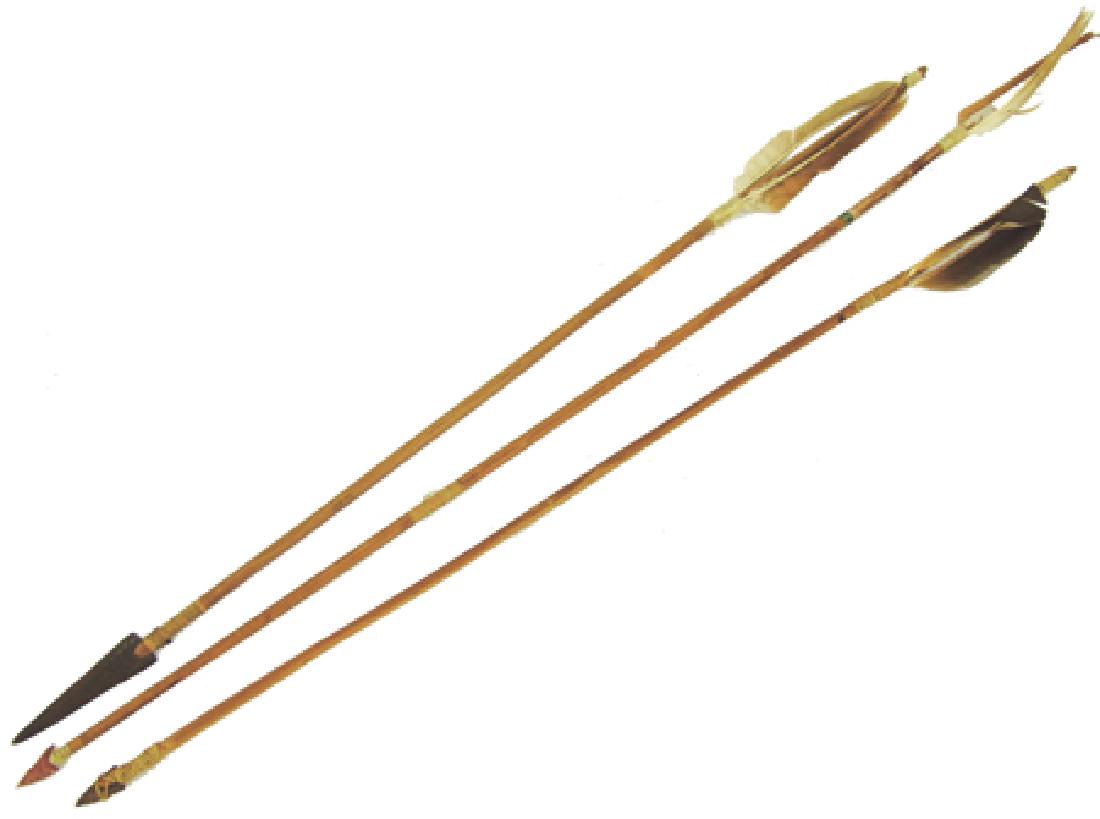 3 Fletched Arrows (1 of 7)