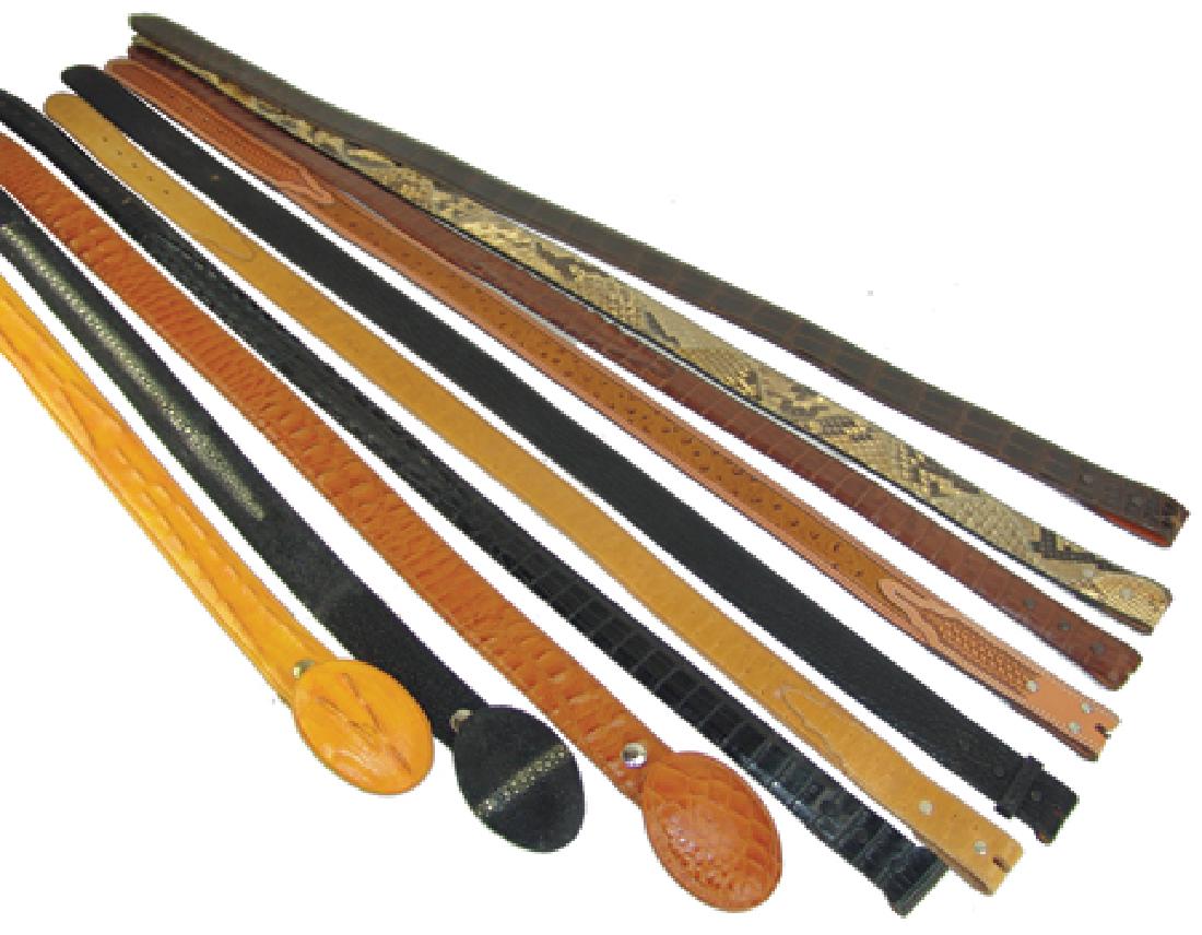 Group of Exotic Belts (1 of 6)
