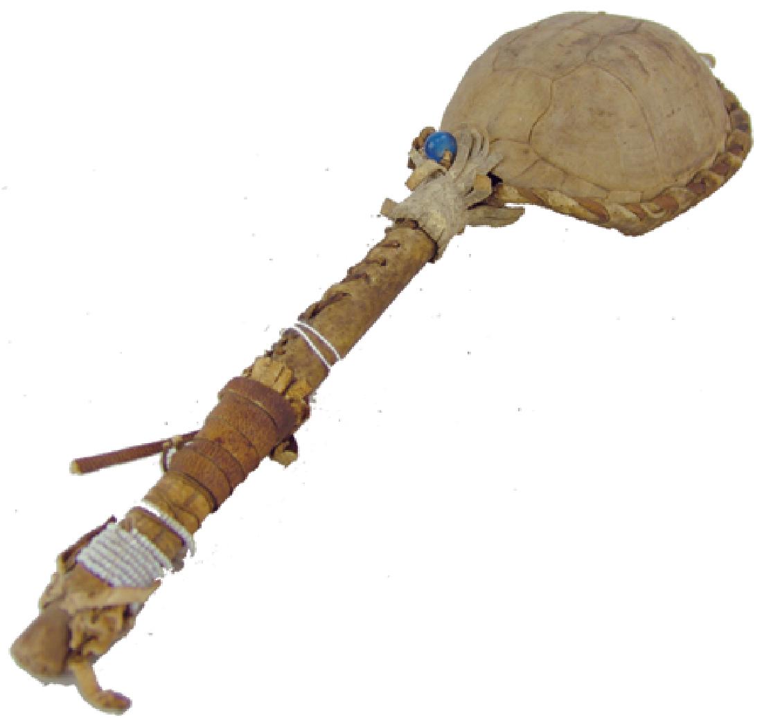 Plateau Tortoise Rattle (1 of 8)