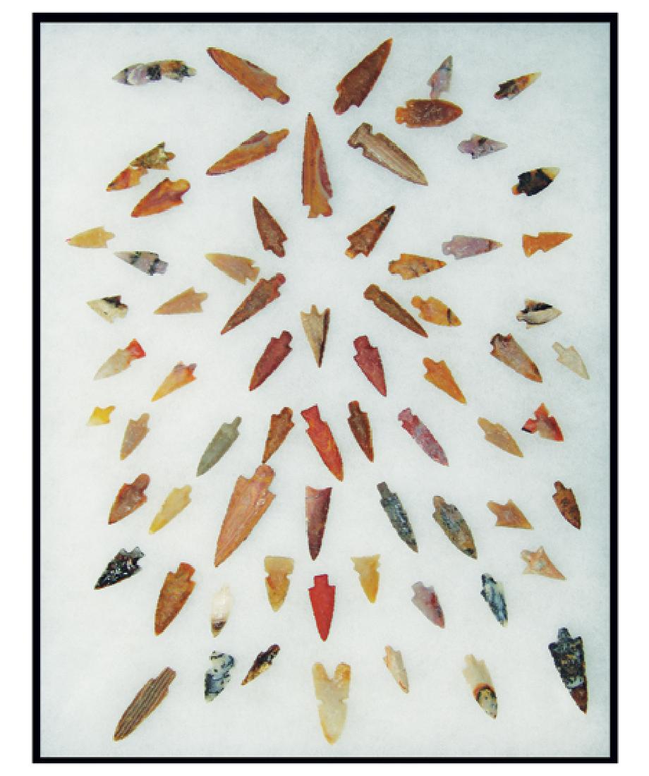 Arrowhead Display (1 of 1)