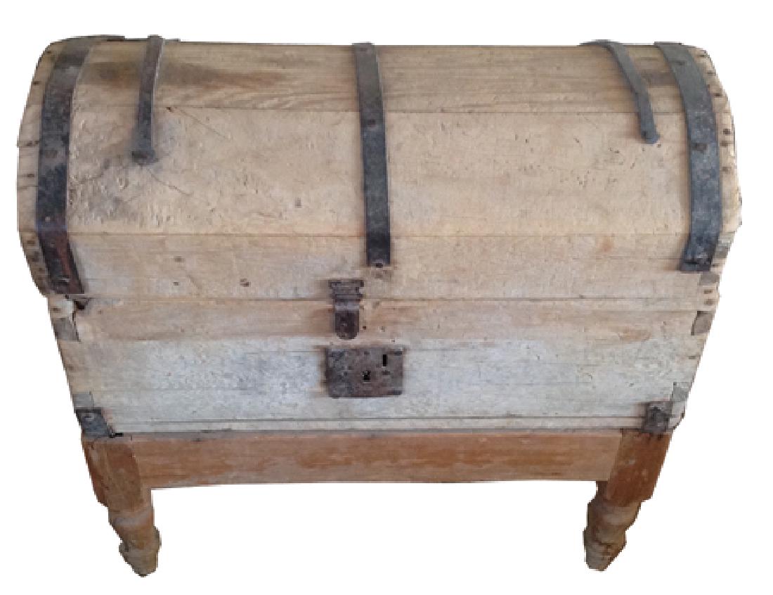 Mexican Trunk (1 of 3)