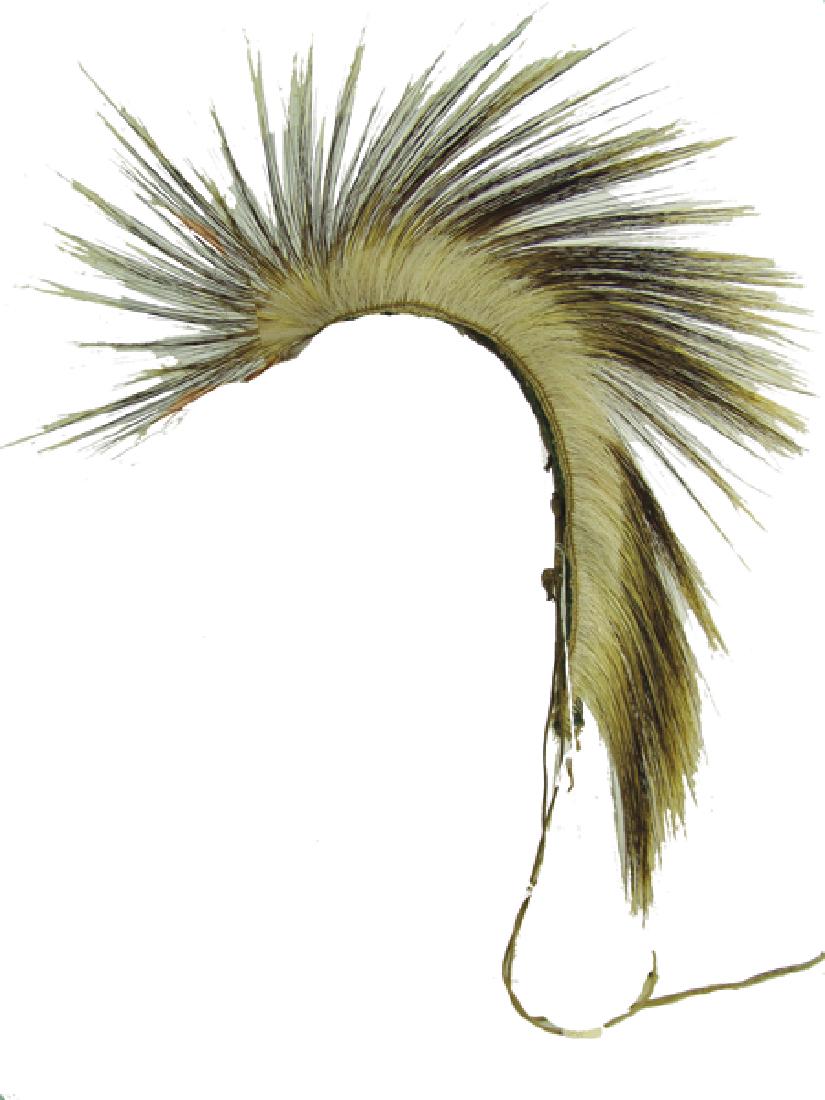 Crow Dance Roach (1 of 8)