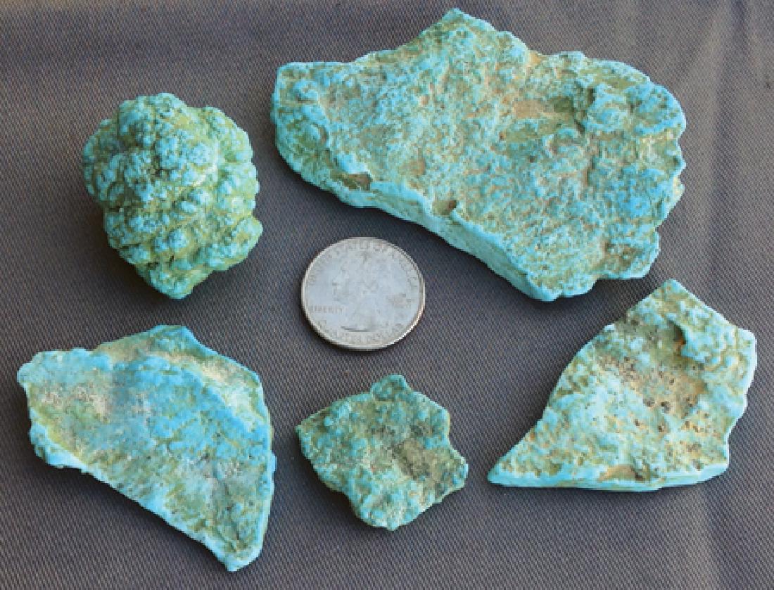 Turquoise Nuggets (1 of 2)