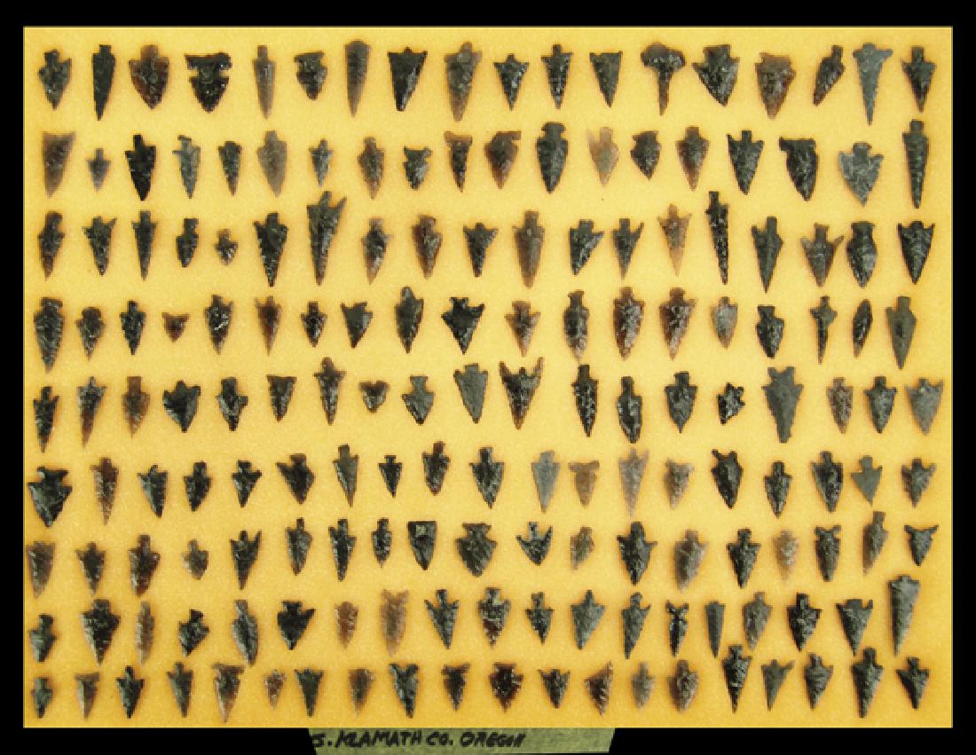 Oregon Obsidian Points: Huge display of appx. 171 obsidian bird points labeled "171 pcs. Klamath Co. Oregon." Most in good/very good condition. In 17" x 12" ryker mount.Largest 1-1/2"Pre Historic