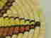 item-69402467=5