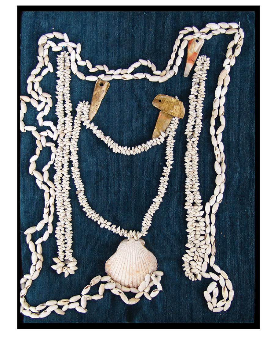 Mimbres Shell Jewelry: Larger display of (re-strung) items from the Baca site labeled "Abalone Shell Pendant," "Mimbres Culture Pre 1150AD," and "Pecten Whole Shell Pendant." Very good condition. Ex. Evans collection.Prehis