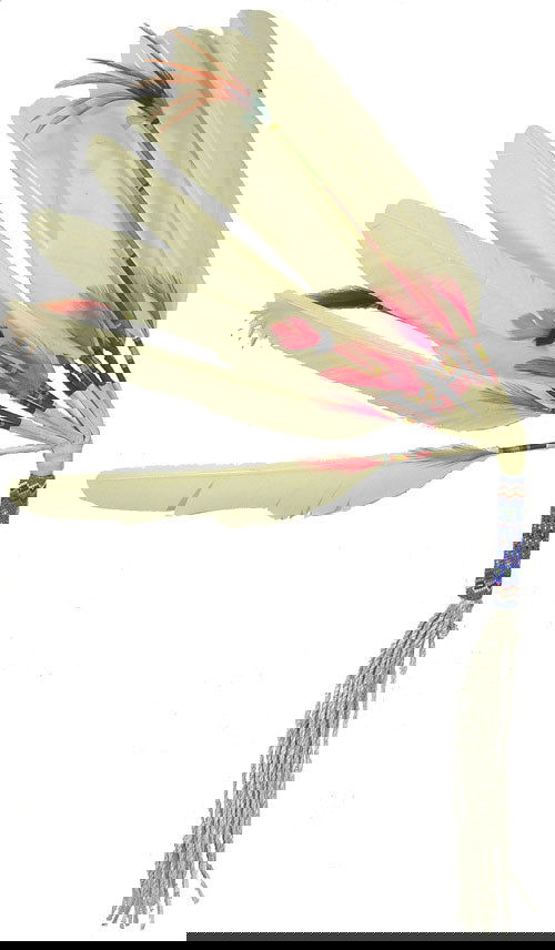 Kiowa Peyote Fan: Fantastic cut turkey feather fan with geometric beaded handle and twisted buckskin fringe. 16-1/4" plus fringe Circa 1960