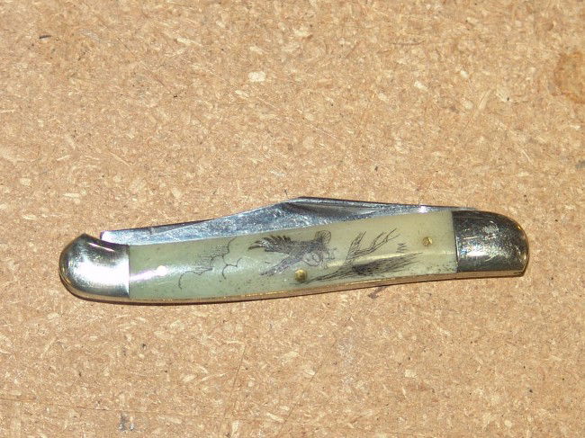 Scrimshaw Jack Knife: Beautiful bone handled 2 bladed jack knife with eagle scrimshaw. 3" long