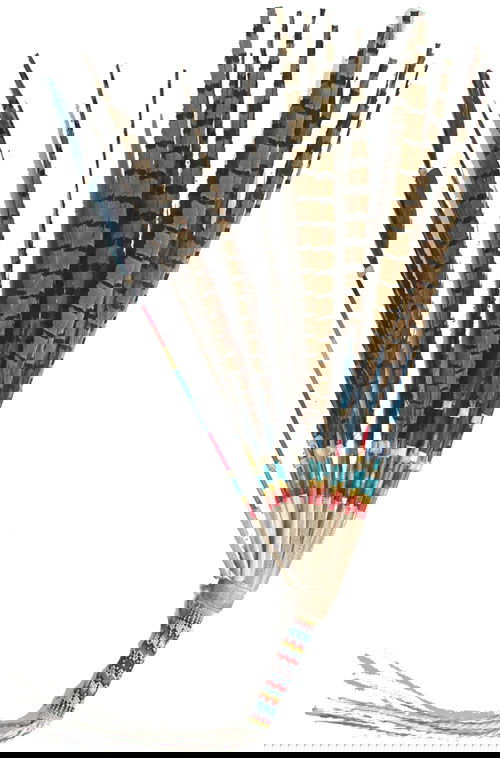 Peyote Fan: Mid 1900's Traditional southern Plains style ceremonial/dance fan with scalloped feathers and beaded handle. 20-1/2" plus fringe