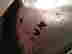 item-10867193=4