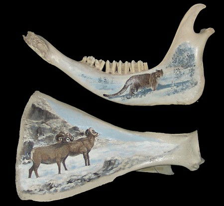 Lynn Olsen (20th Century): Late 1900s, Pair of signed original oils, mountain lion and two rams, done on bone mandible and scapula, by this Western Montana artist. Very good condition. 14" x 9" & 15" x 8"
