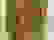 item-15800214=3