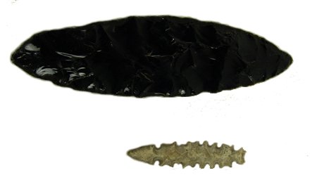 Artifact Frame: Various, Large riker mount with an obsidian blade and an eccentric spear point. Both in good condition. Largest 10-1/4"