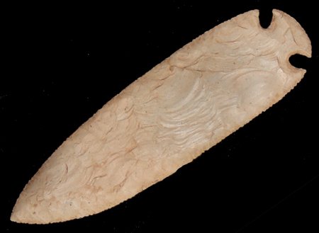 Large "Grey Ghost" Spearpoint: Ca. 1940s-1970s, Large and wide finely pressure knapped spear point. Very good condition. (Possibly by Brian Reinhardt) 8-1/2" x 2-1/2"