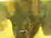 item-34447006=4